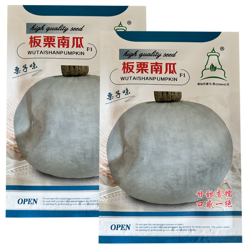 板栗南瓜种子银栗南瓜香甜粉糯白皮奶储运春夏种植