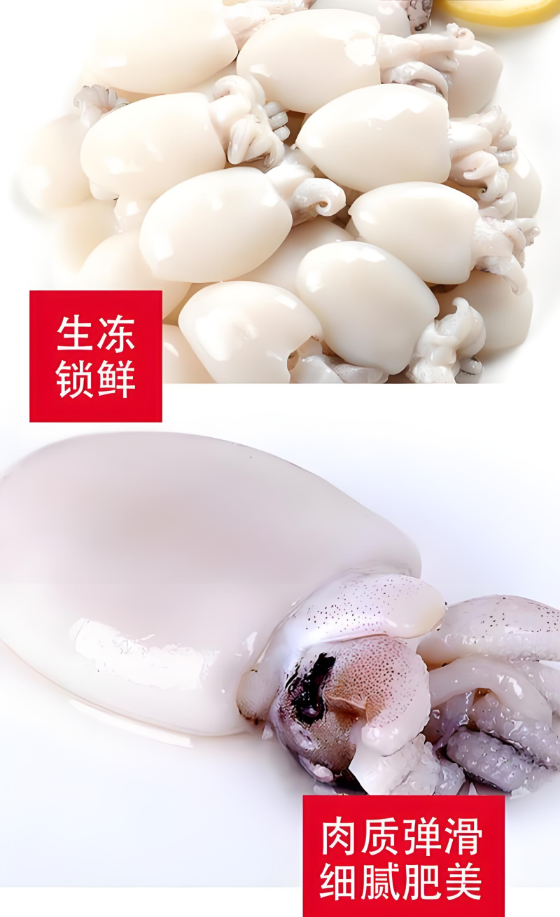 墨鱼仔
