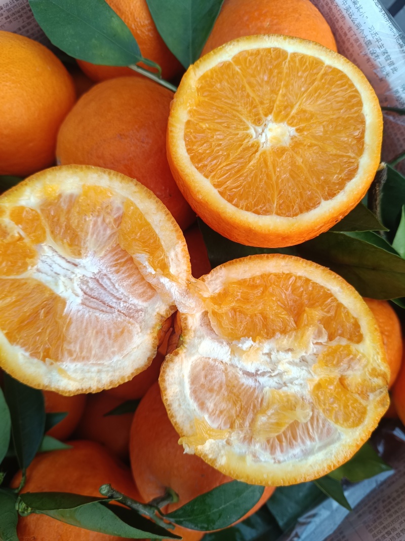重庆奉节重庆脐橙橙子🍊产地直销量大从优可视频看货