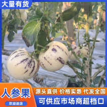 云南人参果产地大量现货供应，规格齐全价格可谈，欢迎电联