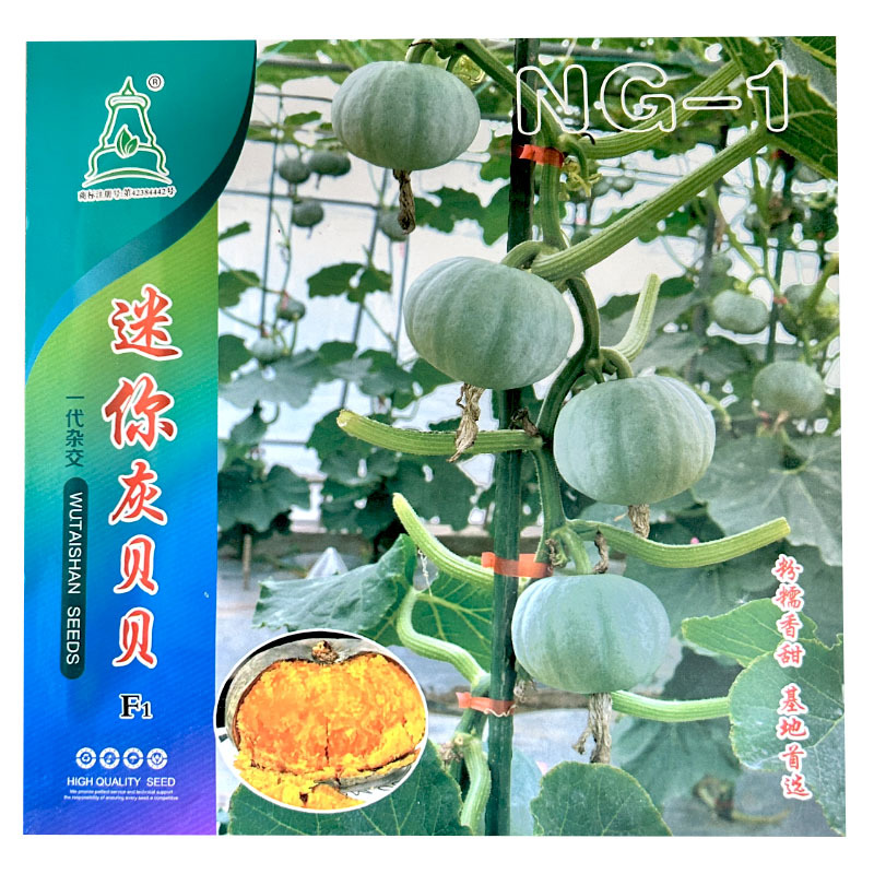 灰贝贝南瓜种子粉糯香甜小南瓜果皮银色基地品种
