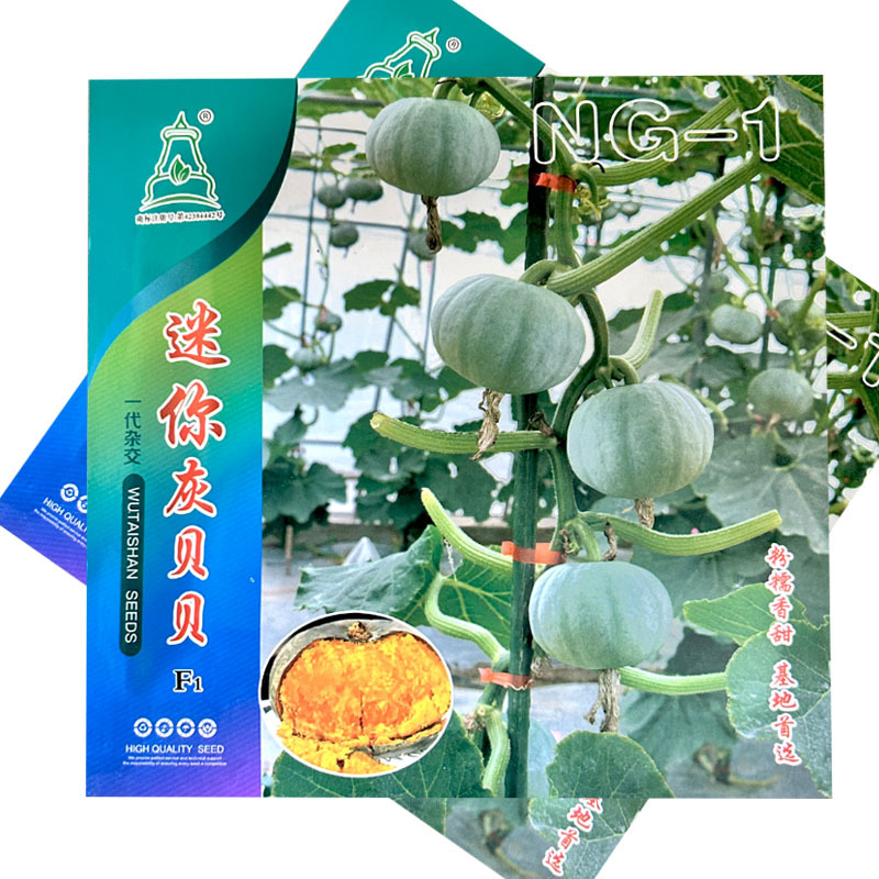灰贝贝南瓜种子粉糯香甜小南瓜果皮银色基地品种