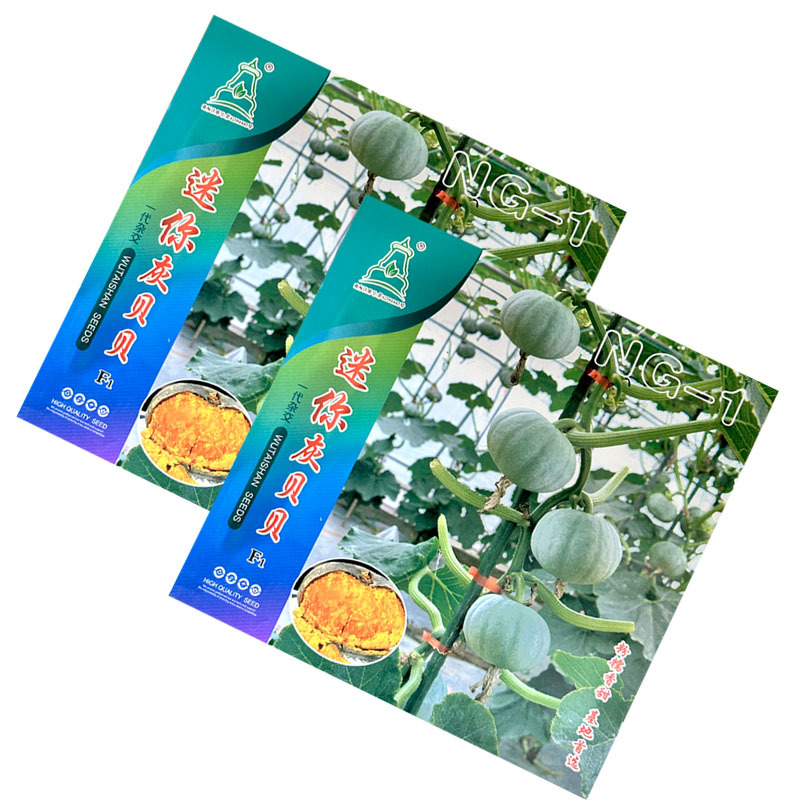 灰贝贝南瓜种子粉糯香甜小南瓜果皮银色基地品种