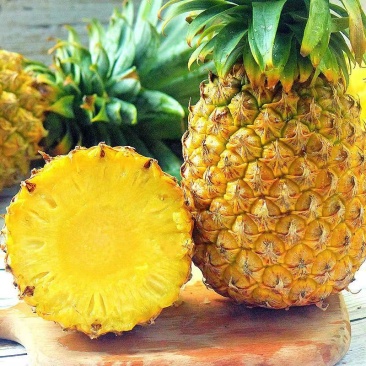 海南金钻凤梨当季新鲜水果手撕凤梨台湾香水菠萝一件代发