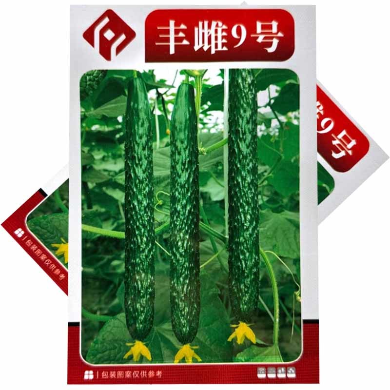 丰雌9号黄瓜种子密刺黄瓜种子短把绿肉肉厚心腔小刺瘤明显