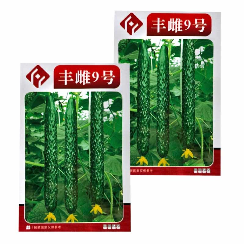 丰雌9号黄瓜种子密刺黄瓜种子短把绿肉肉厚心腔小刺瘤明显