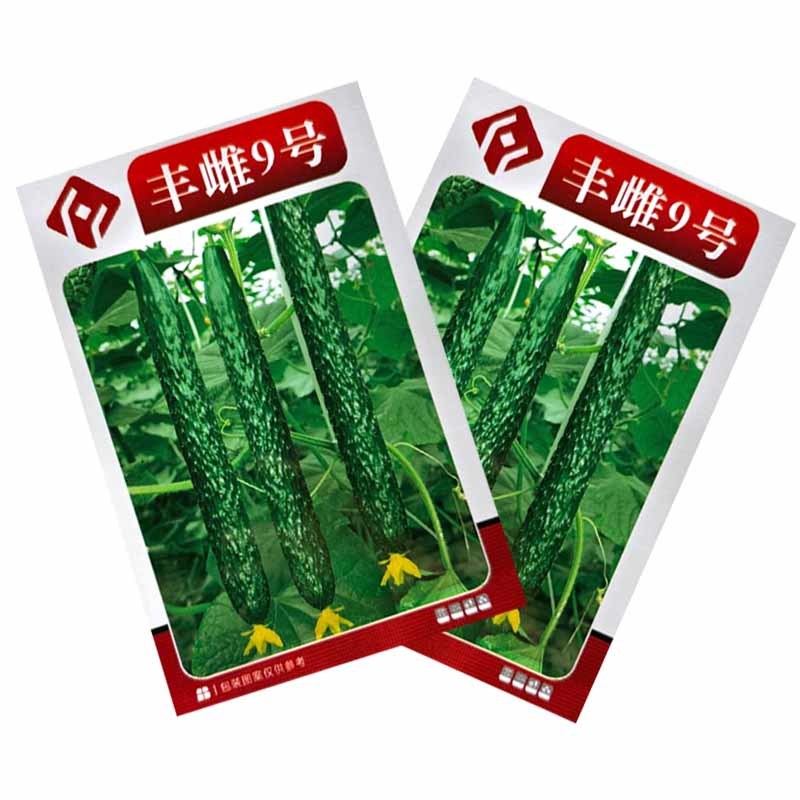 丰雌9号黄瓜种子密刺黄瓜种子短把绿肉肉厚心腔小刺瘤明显