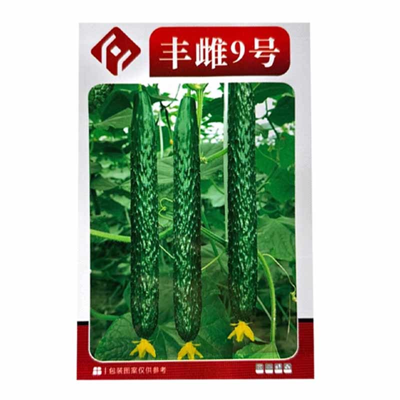 丰雌9号黄瓜种子密刺黄瓜种子短把绿肉肉厚心腔小刺瘤明显