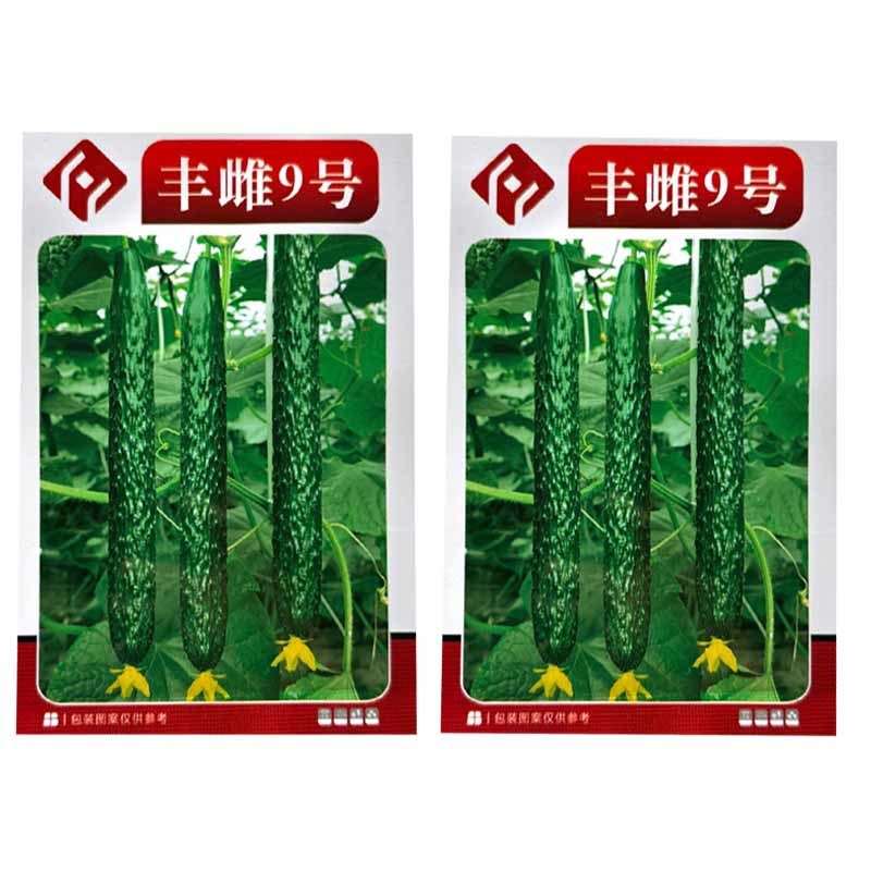 丰雌9号黄瓜种子密刺黄瓜种子短把绿肉肉厚心腔小刺瘤明显