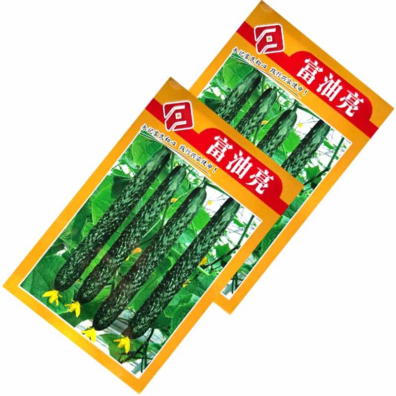 富油亮黄瓜种子短把密刺黄瓜种子刺瘤明显瓜色深绿油亮绿肉