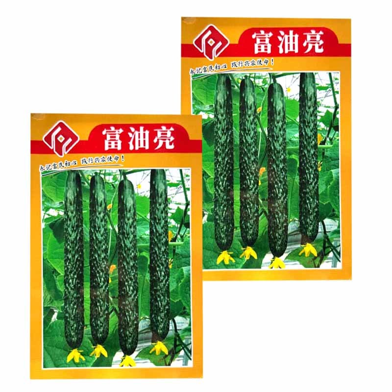 富油亮黄瓜种子短把密刺黄瓜种子刺瘤明显瓜色深绿油亮绿肉