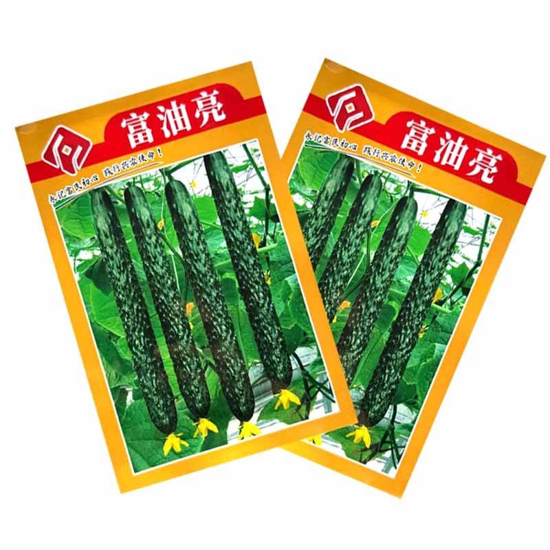 富油亮黄瓜种子短把密刺黄瓜种子刺瘤明显瓜色深绿油亮绿肉