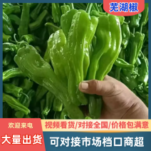 【实力推荐】芜湖椒泡椒鲜辣椒产地直发量大从优可对接全国
