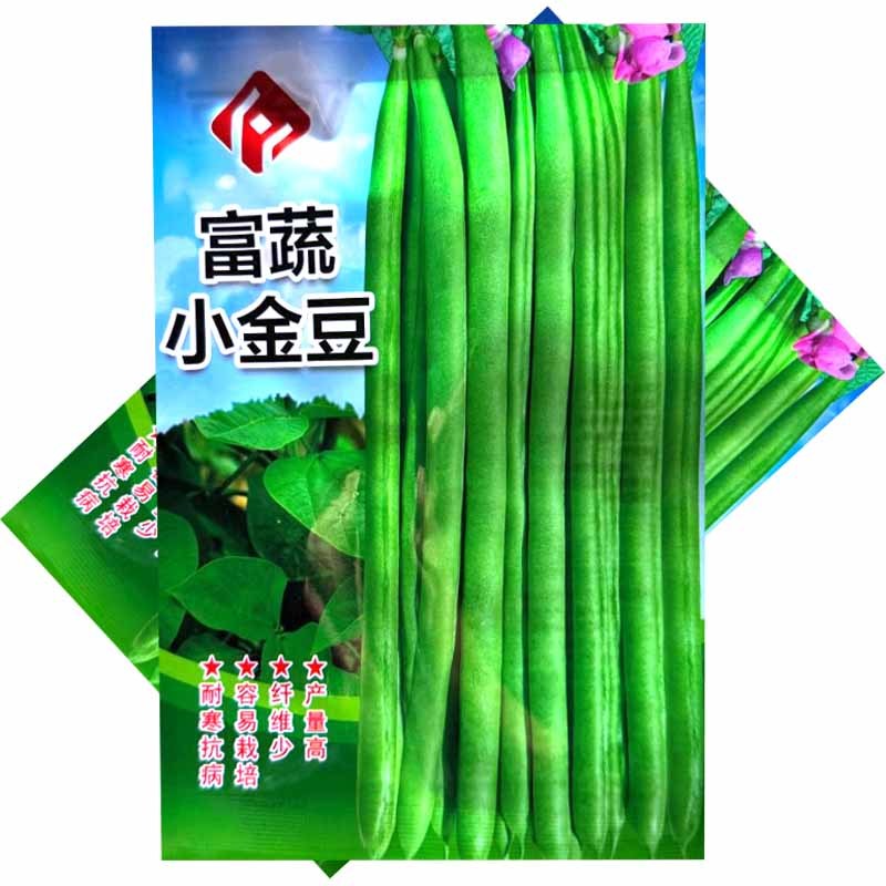 富蔬小金豆种子耐寒抗病四季豆种子质脆味甜产量高