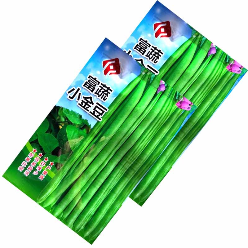 富蔬小金豆种子耐寒抗病四季豆种子质脆味甜产量高