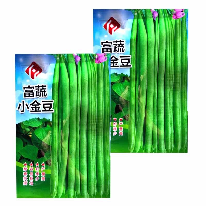 富蔬小金豆种子耐寒抗病四季豆种子质脆味甜产量高