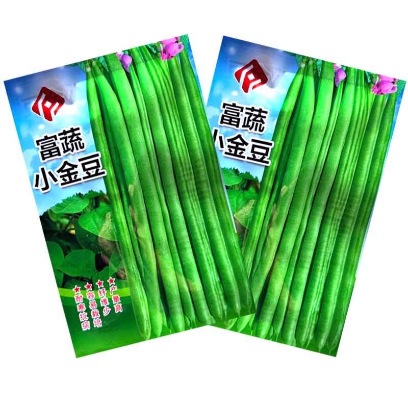 富蔬小金豆种子耐寒抗病四季豆种子质脆味甜产量高