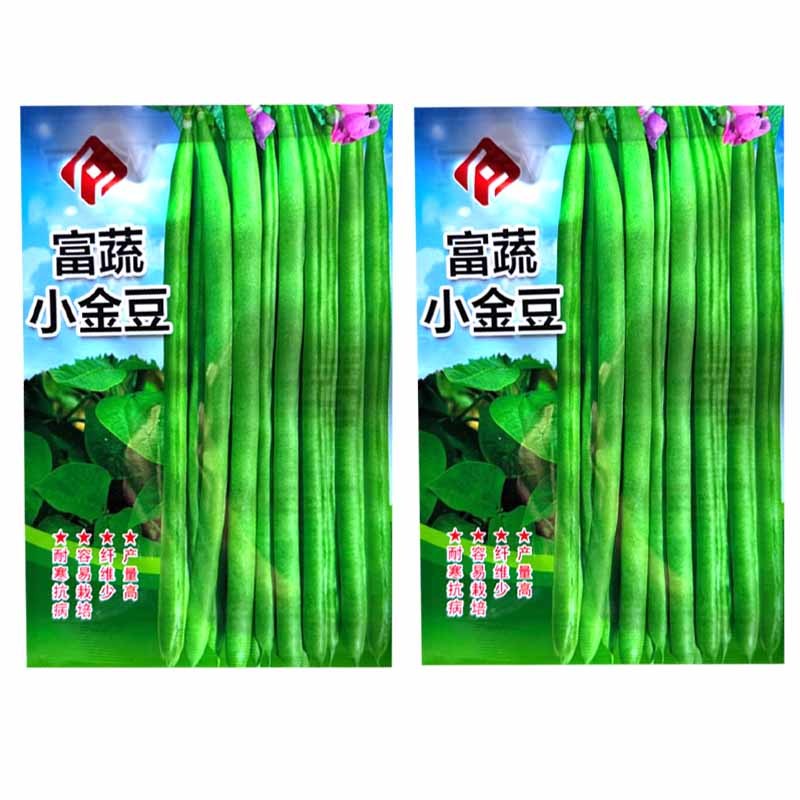 富蔬小金豆种子耐寒抗病四季豆种子质脆味甜产量高
