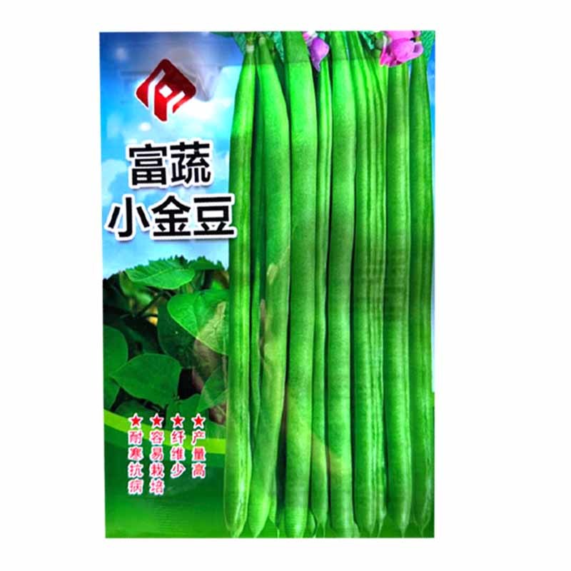 富蔬小金豆种子耐寒抗病四季豆种子质脆味甜产量高
