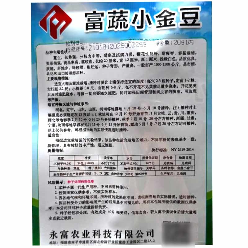 富蔬小金豆种子耐寒抗病四季豆种子质脆味甜产量高