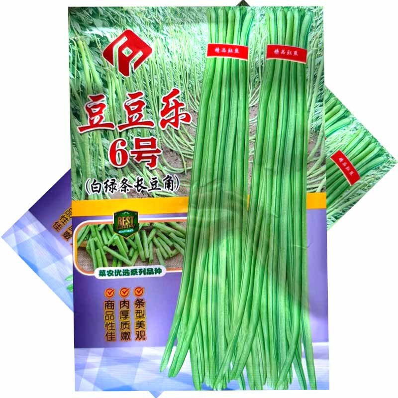豆豆乐6号白绿条长豆角种子豇豆种子籽少肉厚抗病耐老化高产