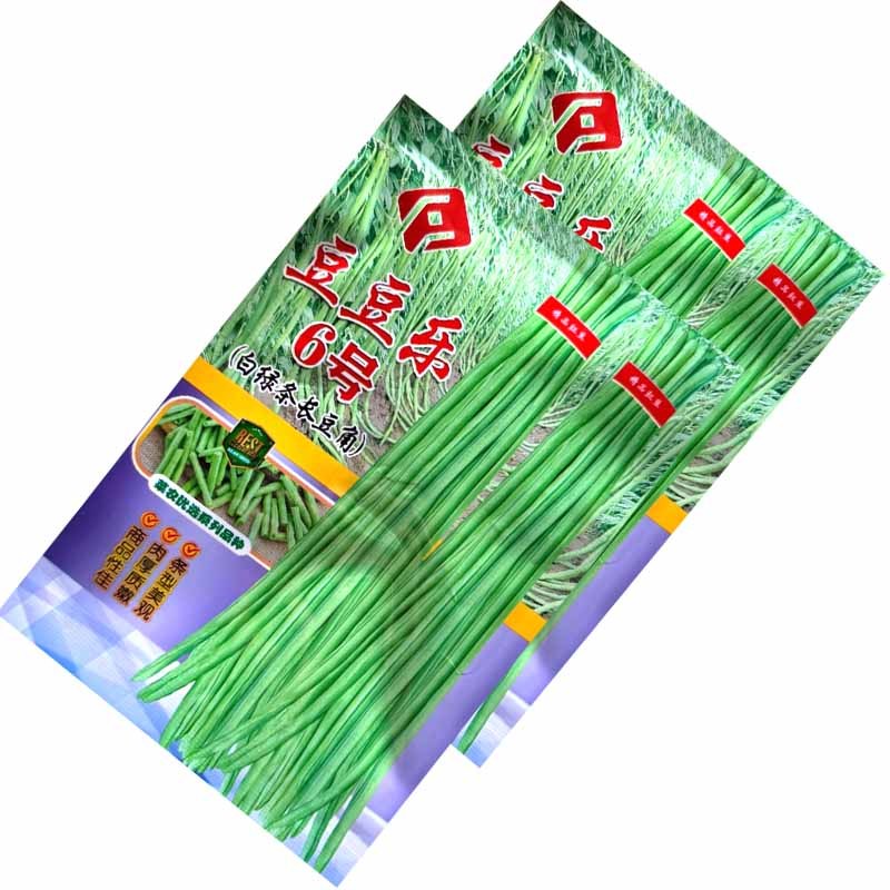 豆豆乐6号白绿条长豆角种子豇豆种子籽少肉厚抗病耐老化高产