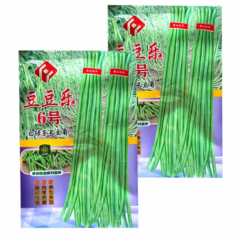 豆豆乐6号白绿条长豆角种子豇豆种子籽少肉厚抗病耐老化高产