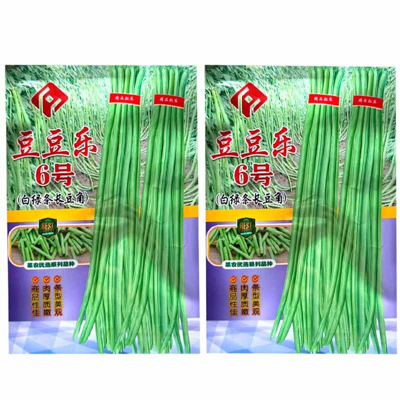 豆豆乐6号白绿条长豆角种子豇豆种子籽少肉厚抗病耐老化高产