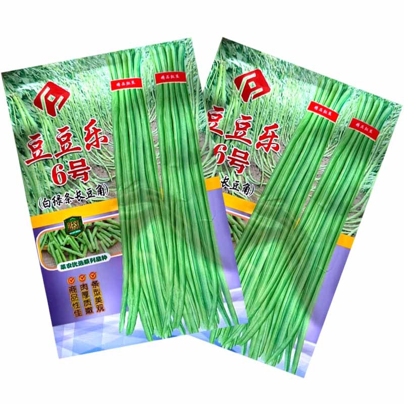 豆豆乐6号白绿条长豆角种子豇豆种子籽少肉厚抗病耐老化高产