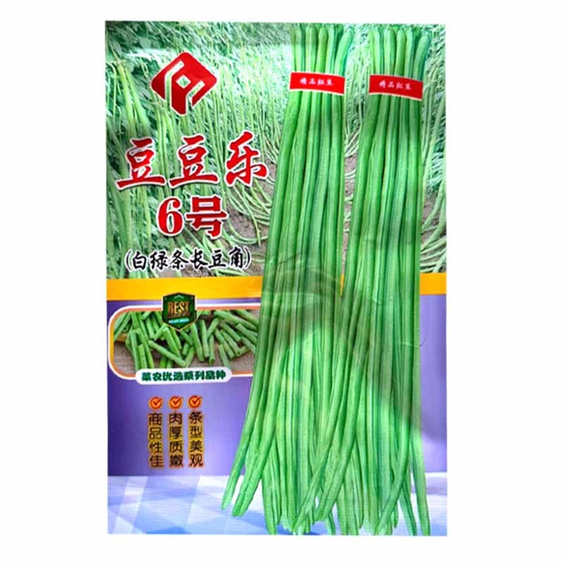 豆豆乐6号白绿条长豆角种子豇豆种子籽少肉厚抗病耐老化高产