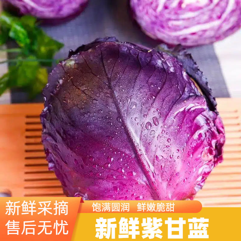 【实力货源】紫甘蓝花青素农家种植全国货源电商一件代发