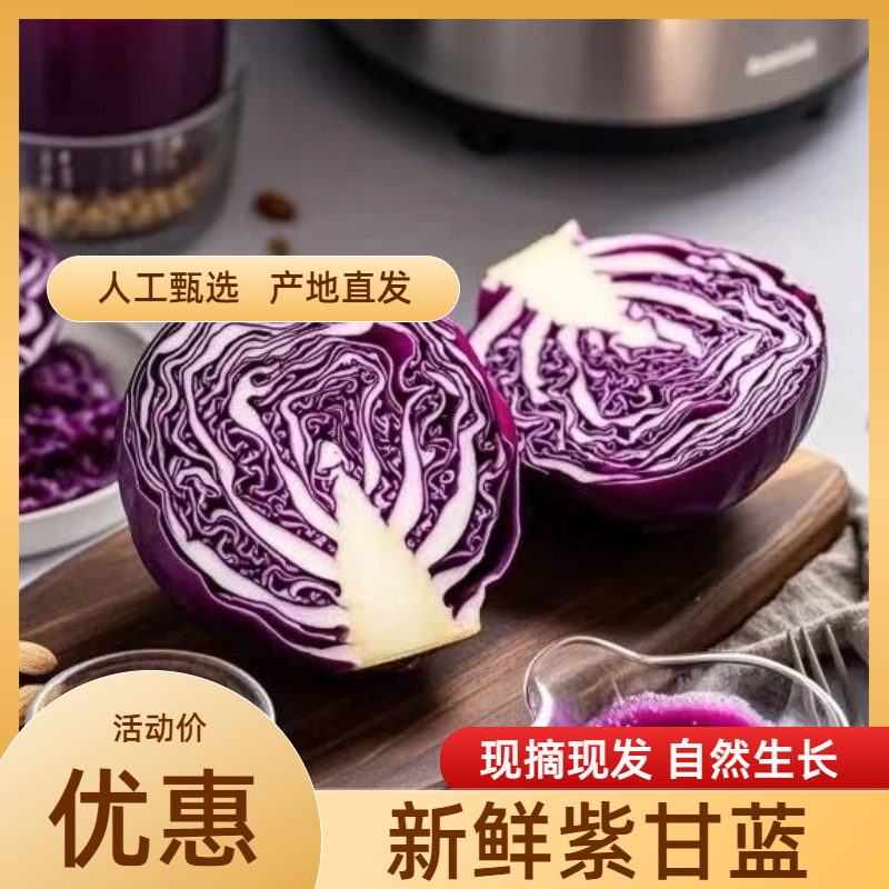 【实力货源】紫甘蓝花青素农家种植全国货源电商一件代发