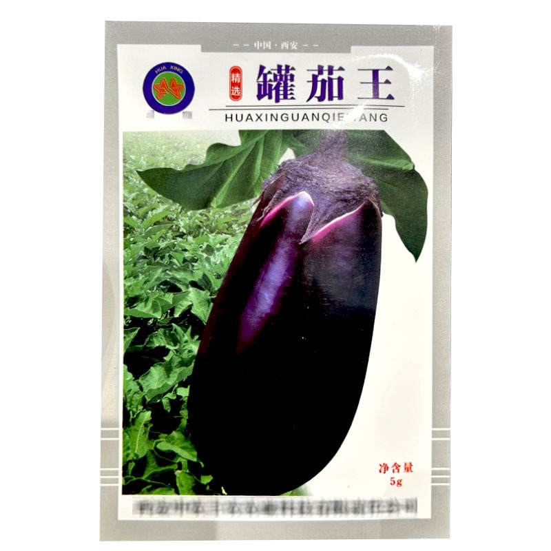 罐茄王紫罐茄种子大果型中早熟牛心茄抗病露地大棚种植