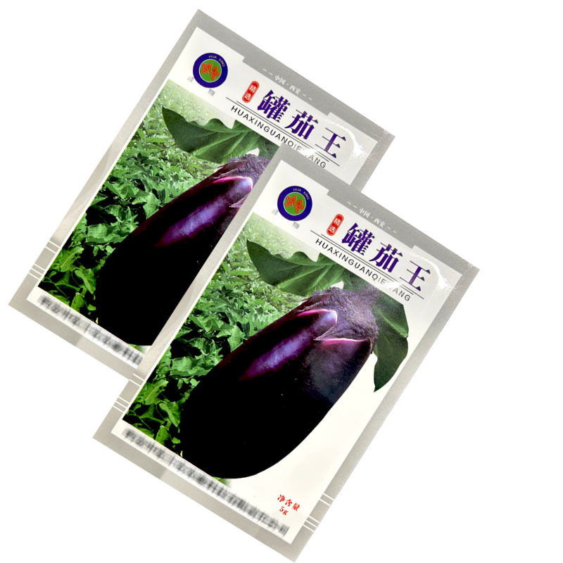 罐茄王紫罐茄种子大果型中早熟牛心茄抗病露地大棚种植