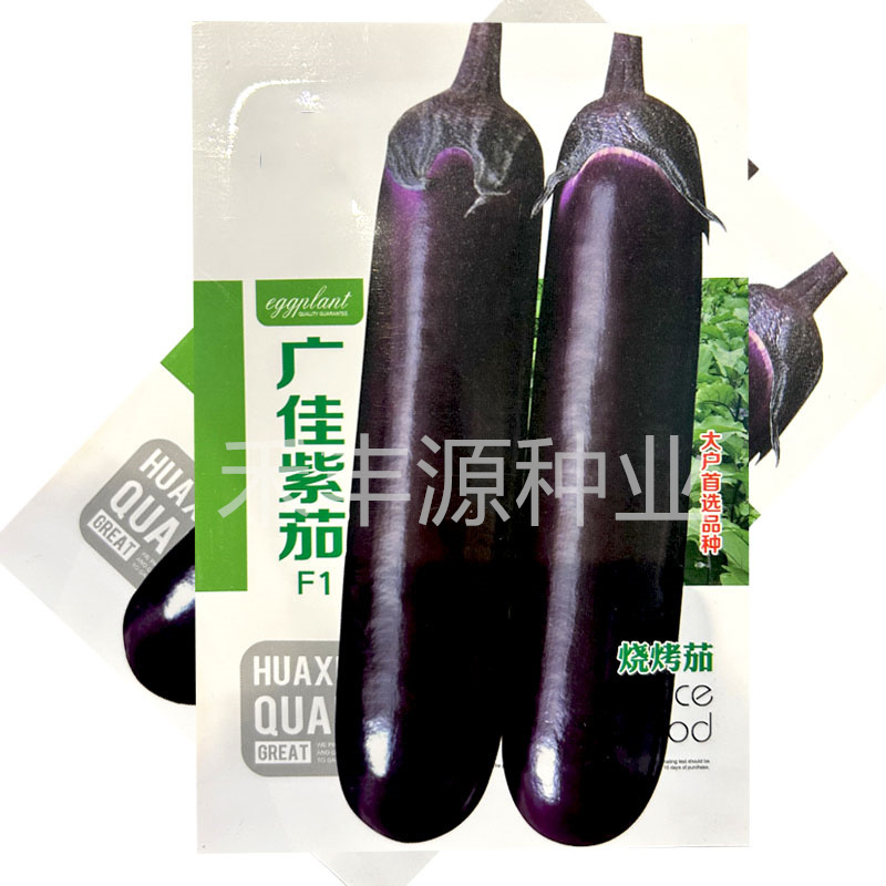 广佳紫茄种子早熟烧烤茄籽高基地紫红色大果油亮春夏秋