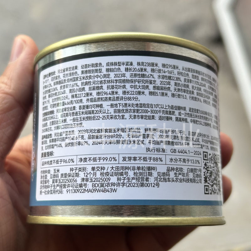 白靓甜1号糯米玉米种子高产大棒甜糯玉米种子春秋播种