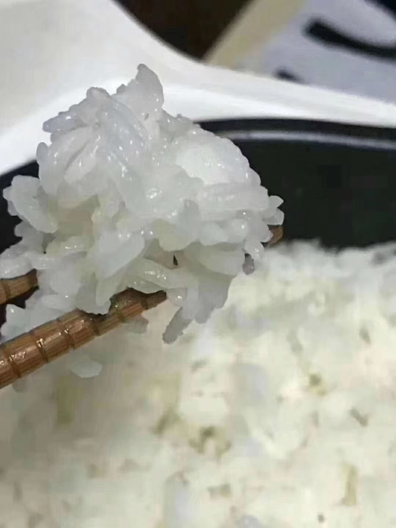 各类大米批发，价格公道品质保障，源头直发，寻求合作商