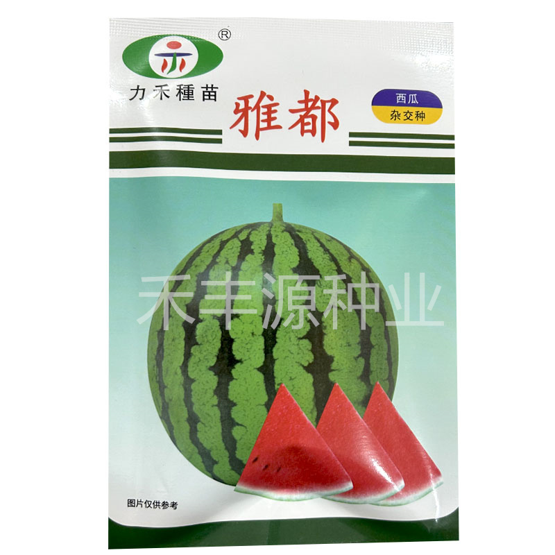 力禾雅都西瓜种子瓜圆球甜而多汁400粒原装正品