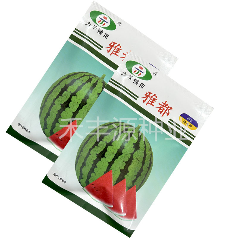 力禾雅都西瓜种子瓜圆球甜而多汁400粒原装正品