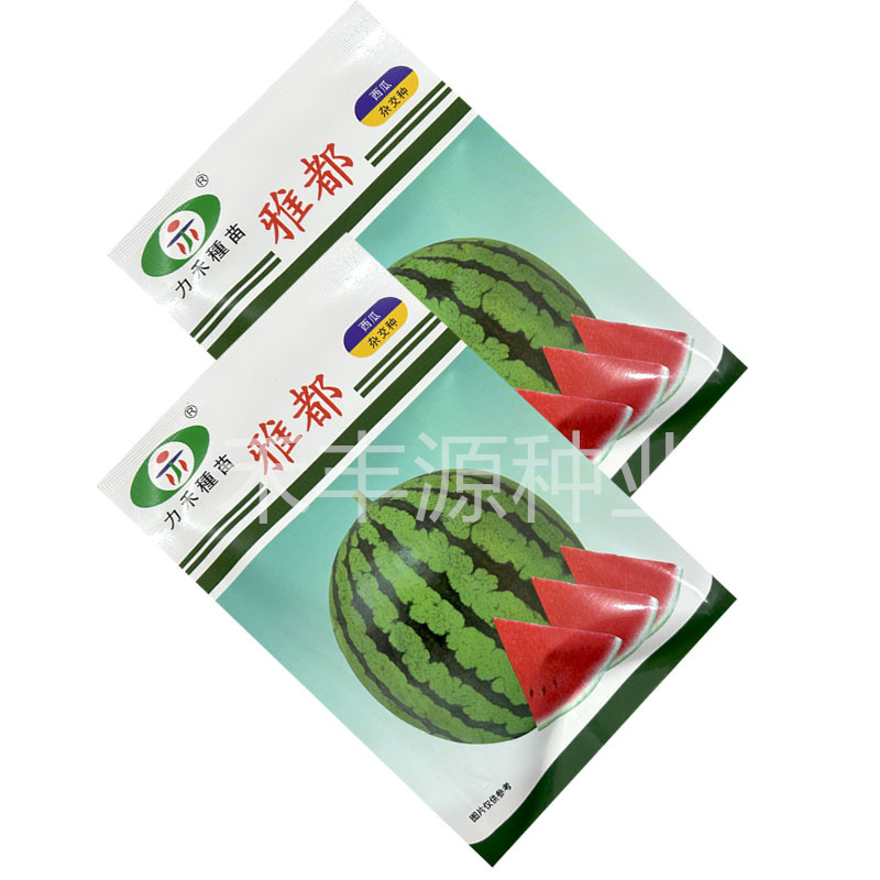 力禾雅都西瓜种子瓜圆球甜而多汁400粒原装正品