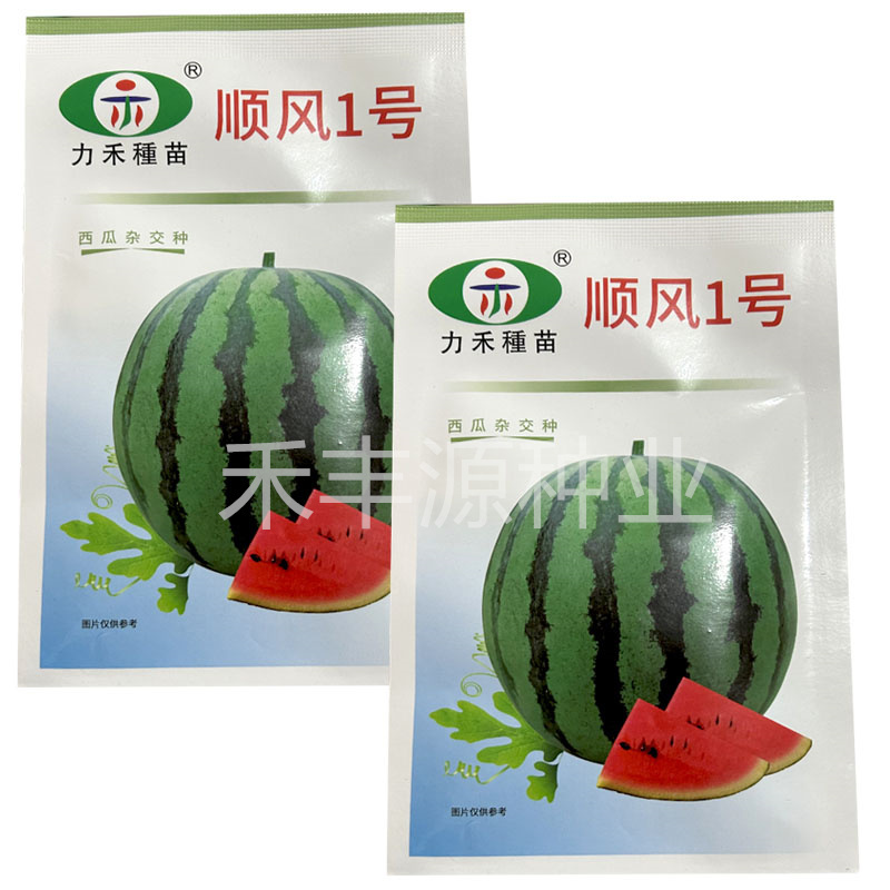 力禾顺丰1号西瓜种子200粒果皮绿色春秋播种基地型