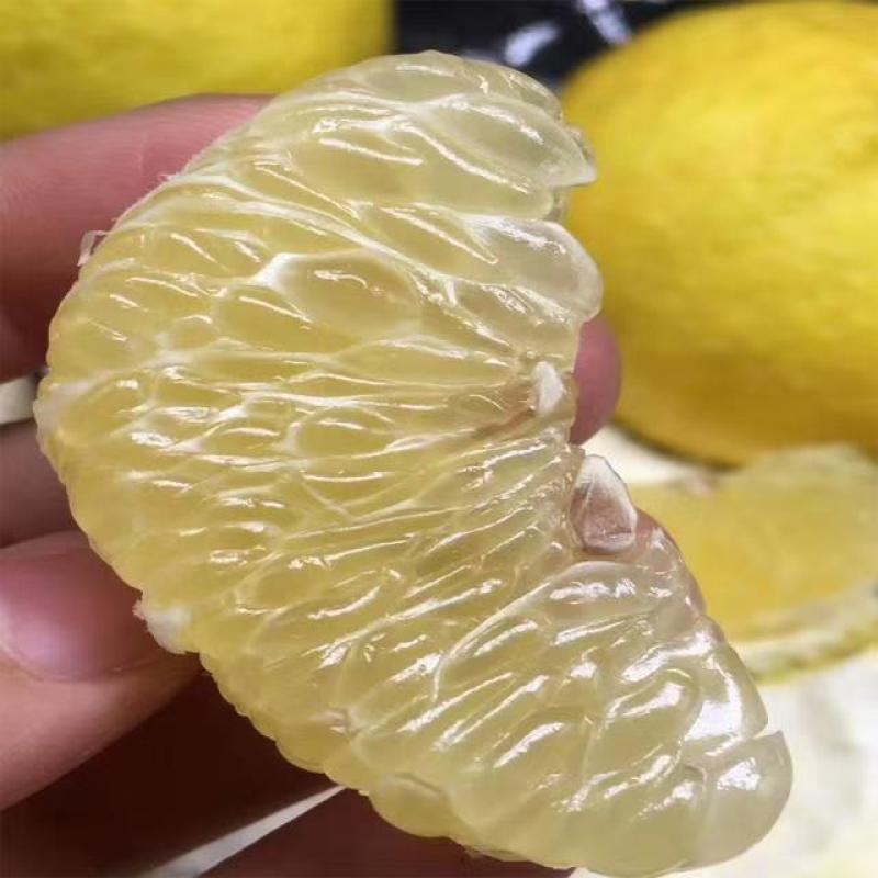 湖南黄金贡柚新鲜柚子当季水果正宗黄肉柚子贡柚一件代发