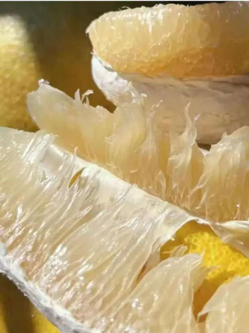 精品柚子大量供应产地直发价格优惠支持视频看货欢迎来电