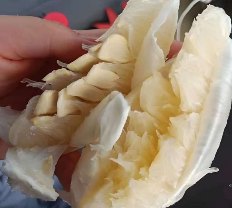 精品柚子大量供应产地直发价格优惠支持视频看货欢迎来电