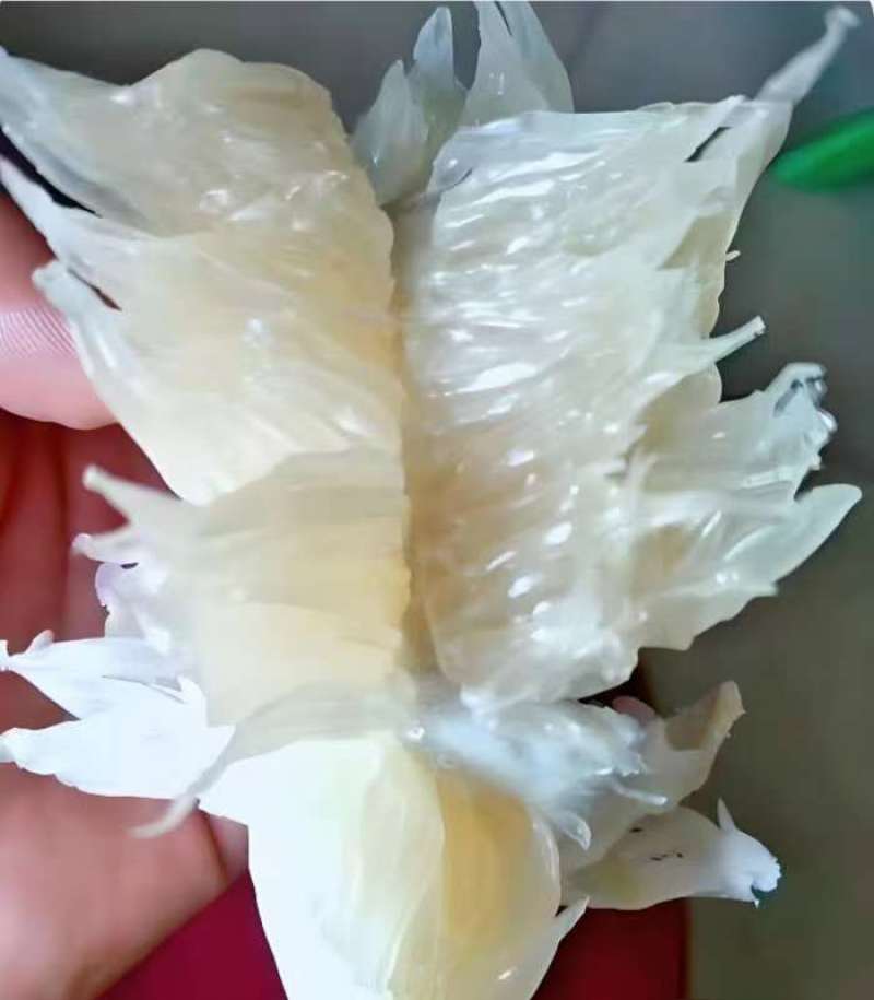 精品柚子大量供应产地直发价格优惠支持视频看货欢迎来电