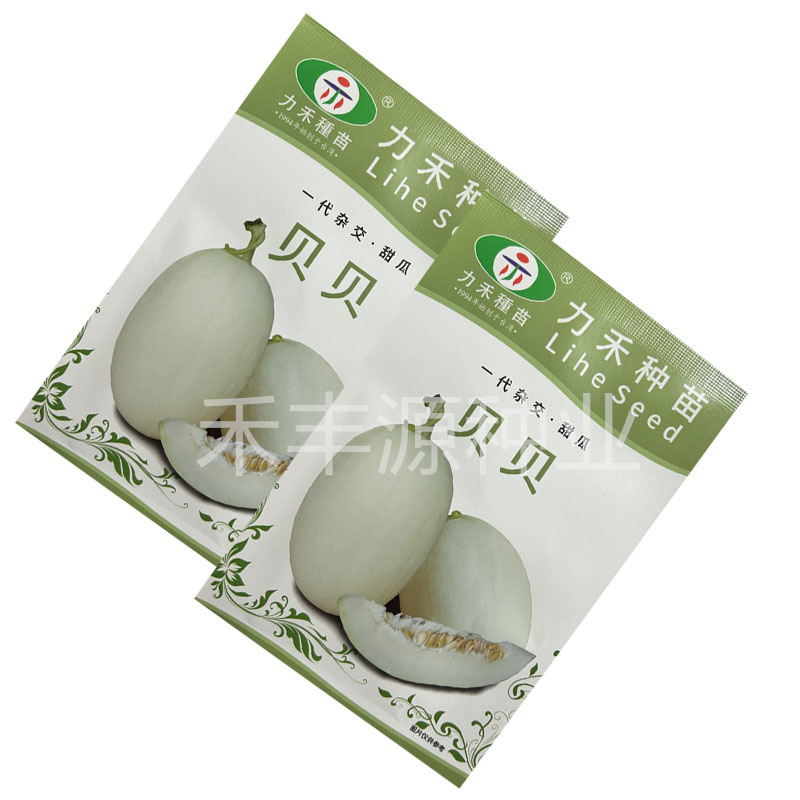 白皮甜瓜种子力禾种苗贝贝厚皮甜瓜籽春夏水果种子
