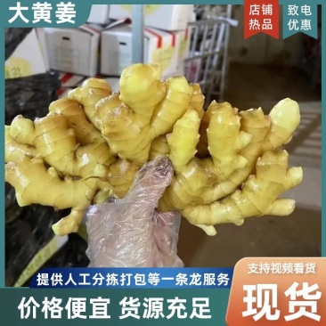 产地批发(大黄姜水洗姜风干姜)电商/批发市场/加工厂