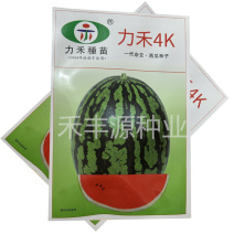 力禾4K西瓜种子全美甘美西瓜籽礼品西瓜籽耐裂超甜脆皮薄