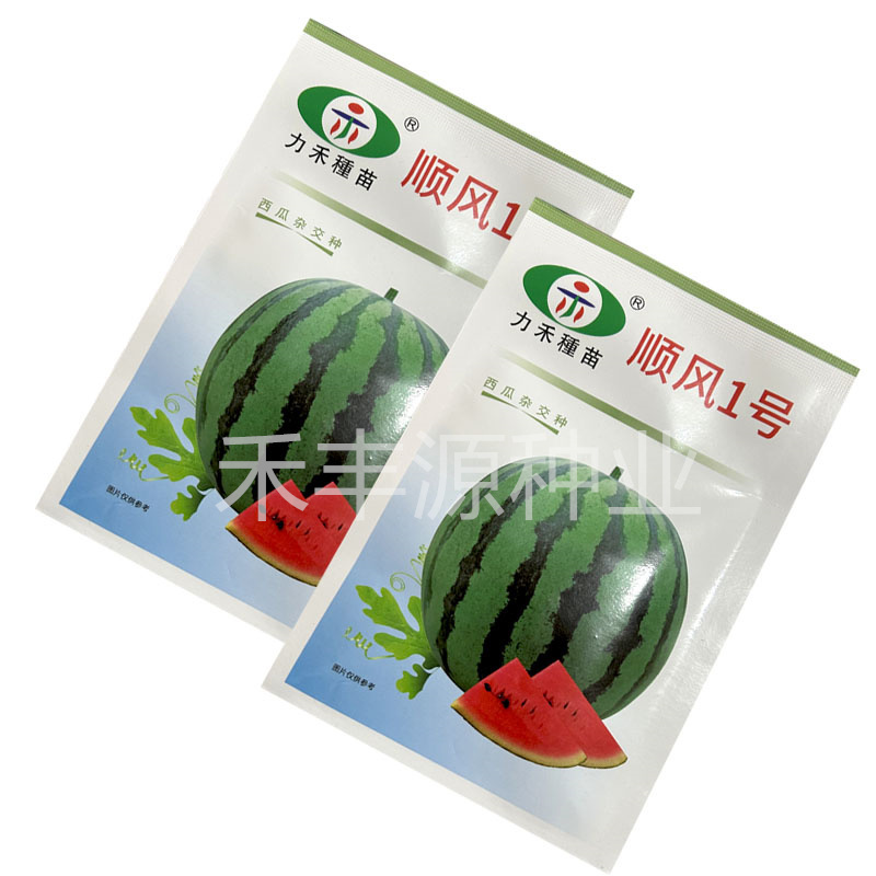 力禾4K西瓜种子全美甘美西瓜籽礼品西瓜籽耐裂超甜脆皮薄