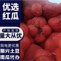 精品红南瓜长年供货红南瓜面甜质量保证欢迎来电